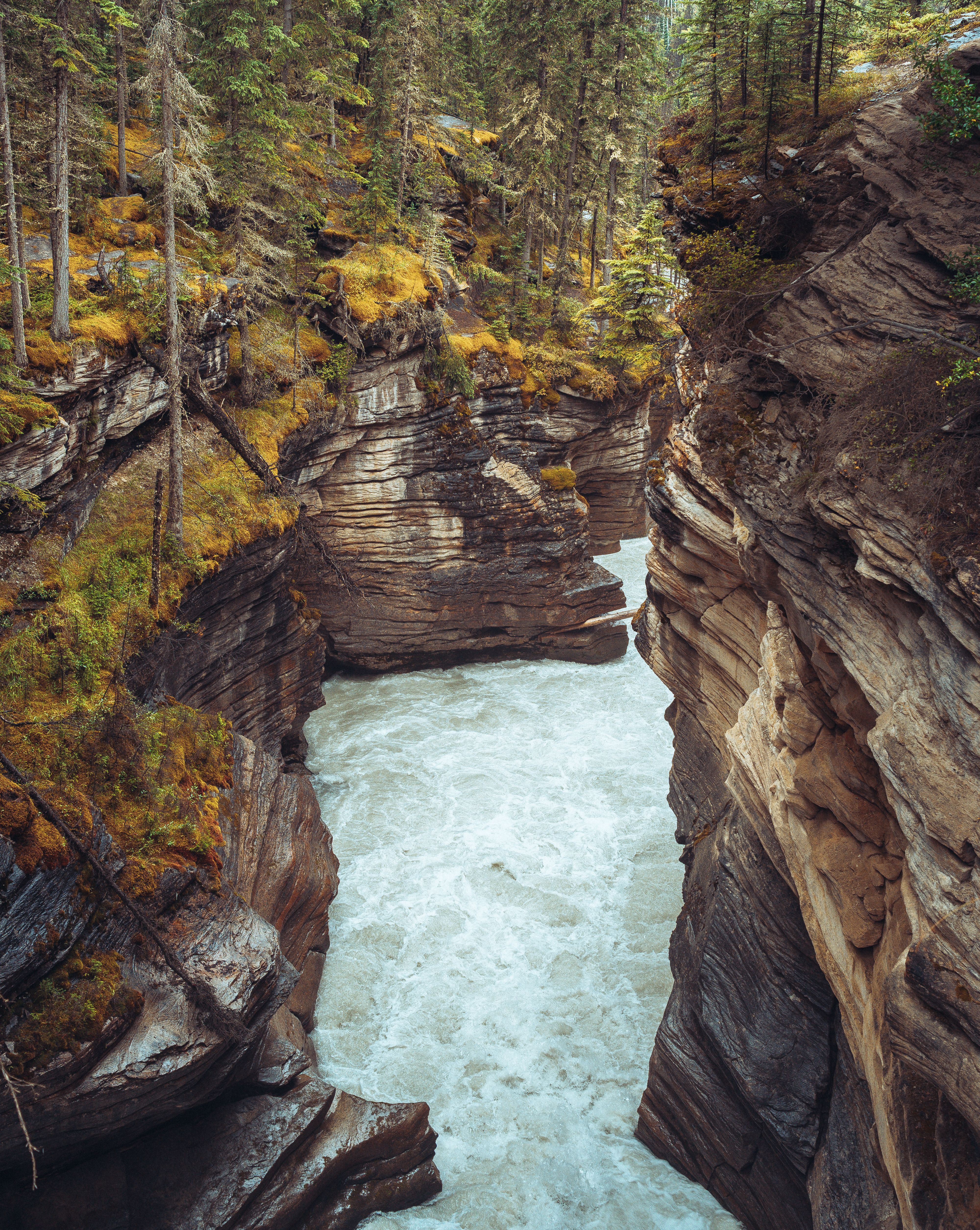 Majestic gorge with a river flowing through rugged cliffs in a lush forest setting.