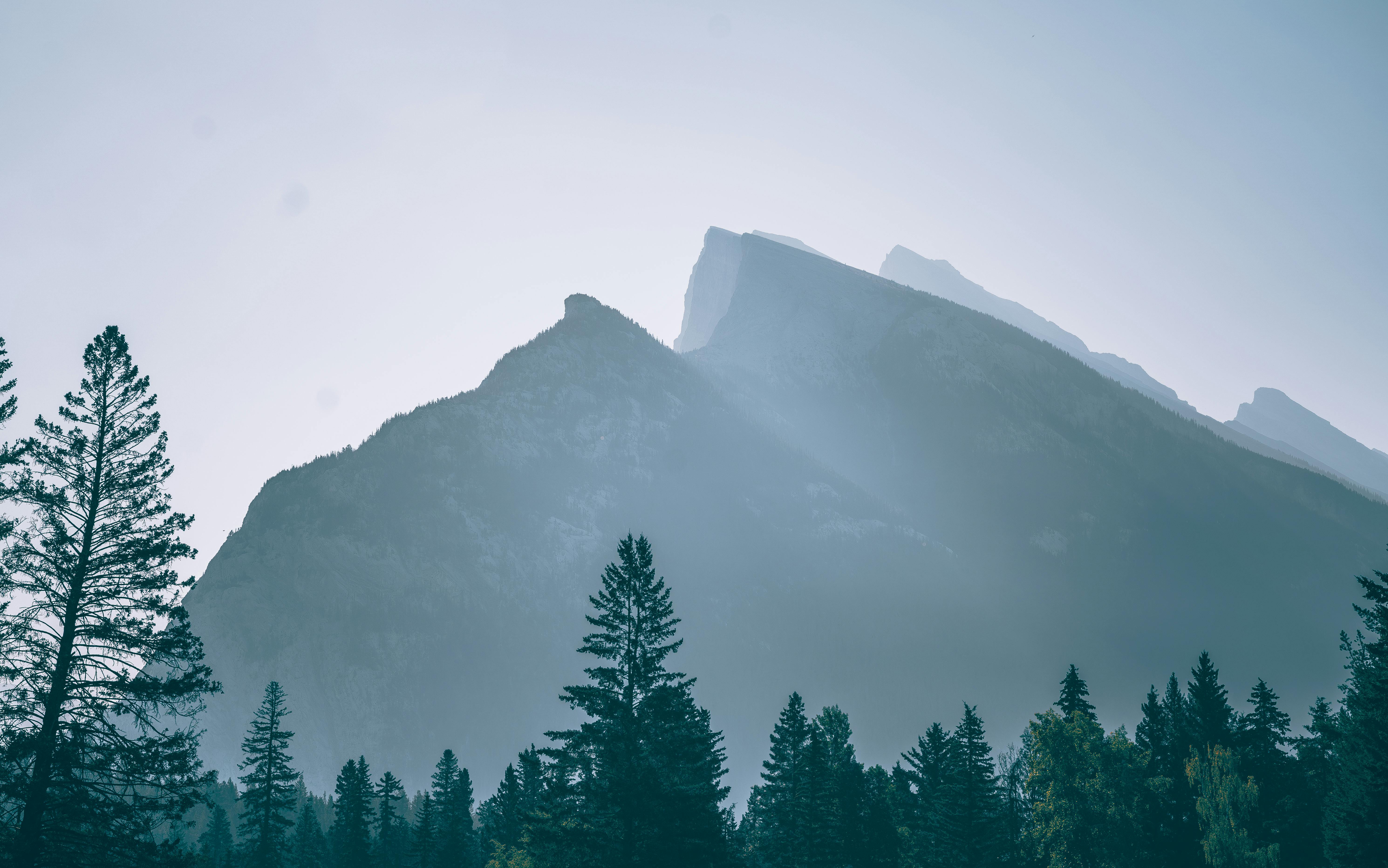 Gratis Foto stok gratis alam, alam liar, Amerika Utara Foto Stok