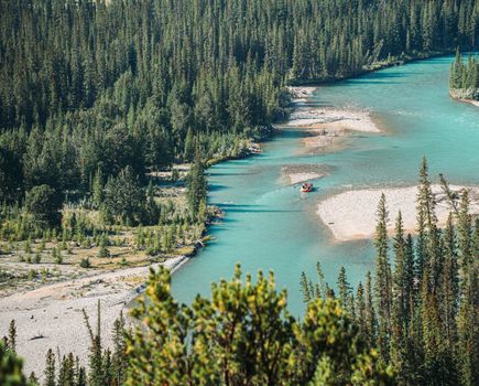 A vibrant river winding through dense forest with a raft in the center, perfect for outdoor adventures.