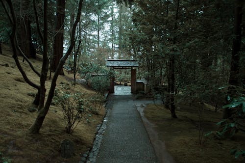 Darmowe zdjęcie z galerii z droga utwardzona, japoński, japoński ogród