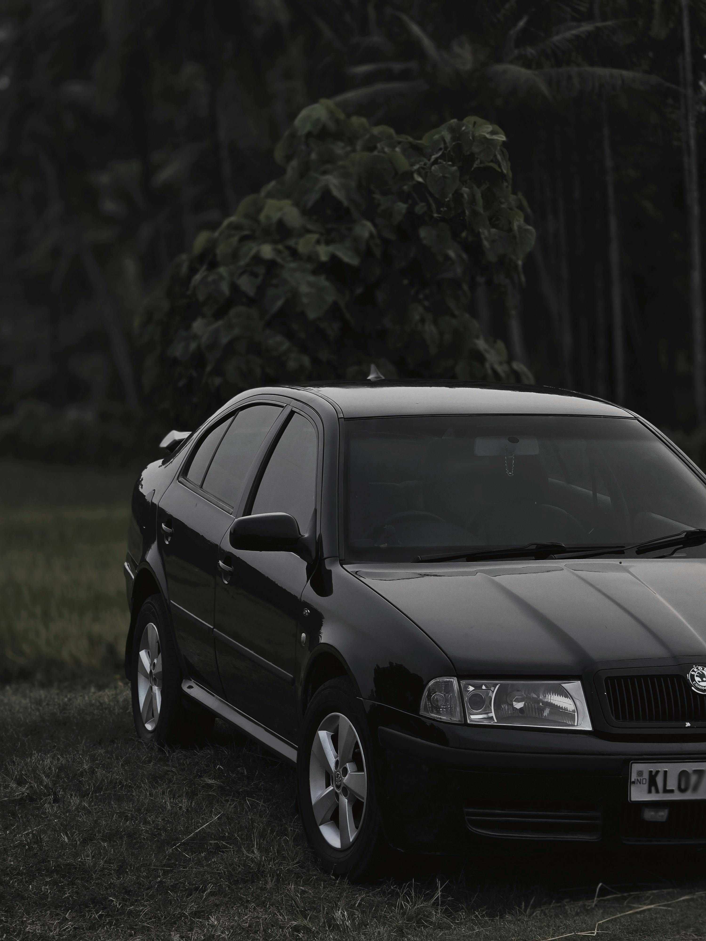 бесплатная Элегантный черный автомобиль припаркован на пышном зеленом поле на фоне густой листвы. Стоковое фото
