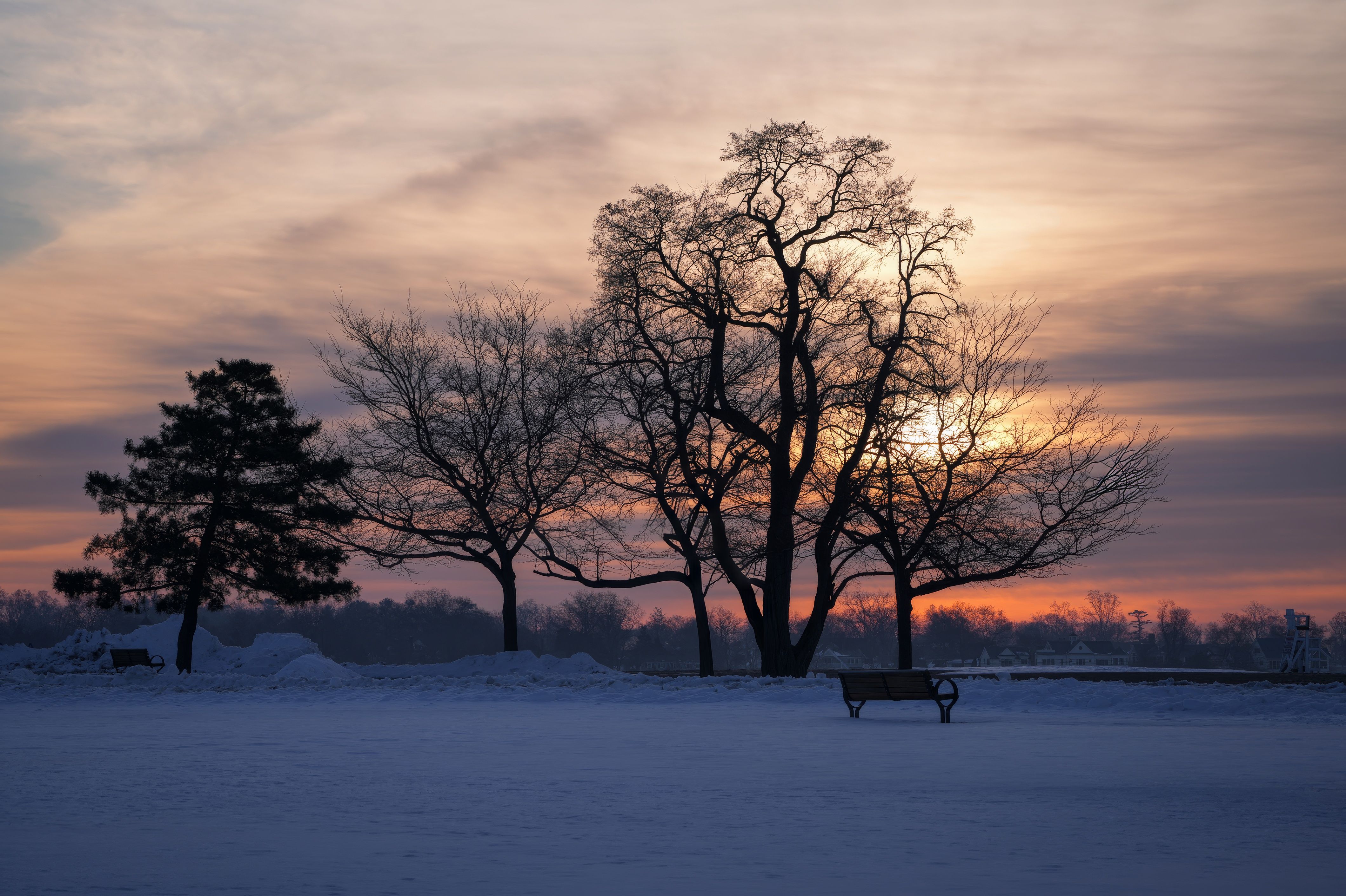 Serene Winter Sunset with Silhouetted Trees · Free Stock Photo