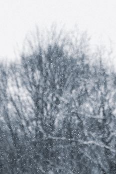 Blurred winter scene capturing snowflakes falling on bare trees, creating a serene atmosphere.