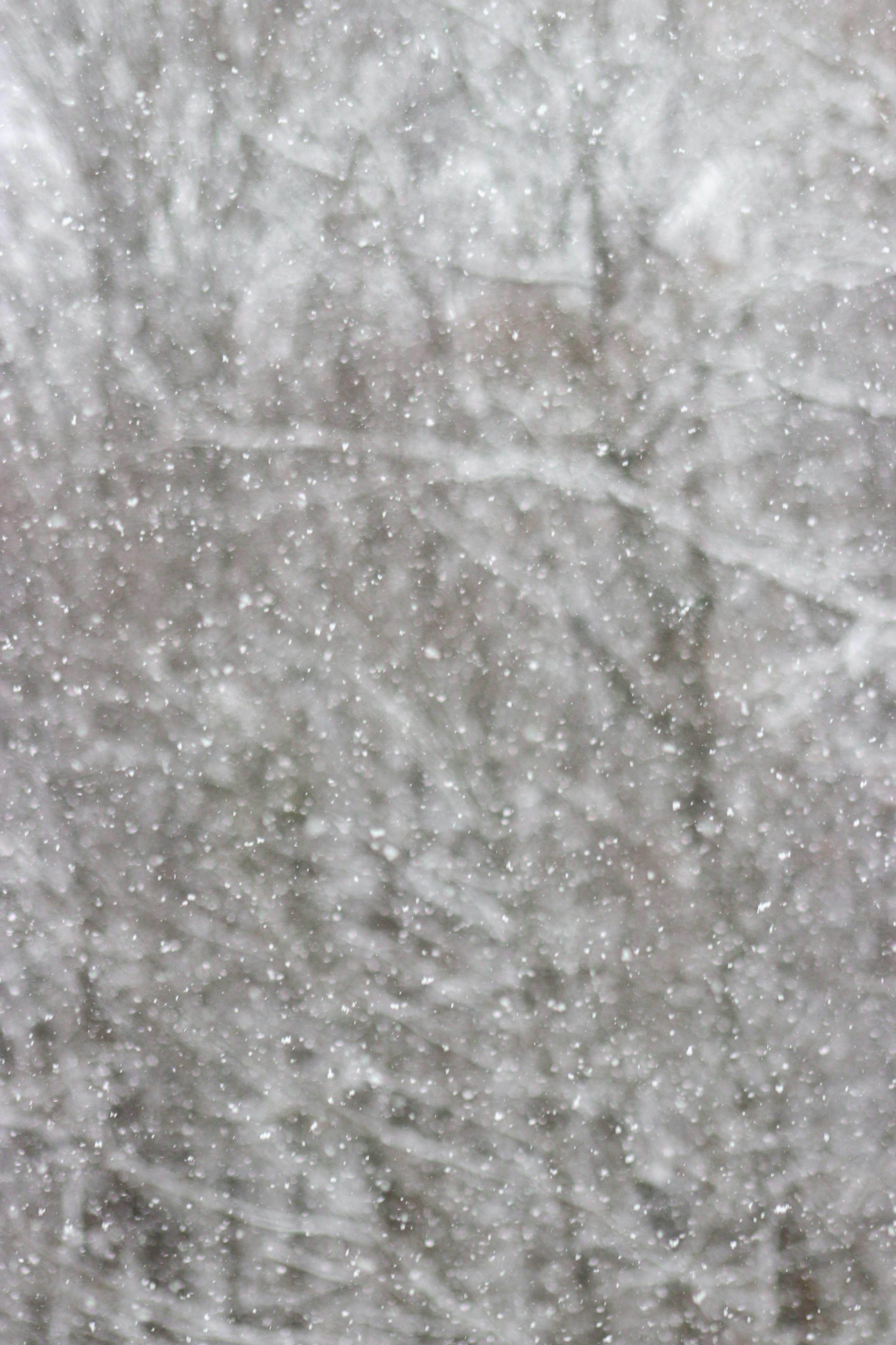 Gratuit Une scène hivernale sereine montrant des chutes de neige sur fond d'arbres dénudés. Photos