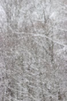 A serene winter scene showcasing snowfall against a background of bare trees.