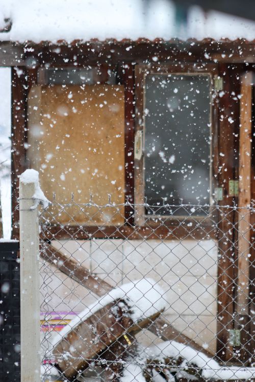 Free Charming image of snow falling on an old wooden shed, evoking a serene winter atmosphere. Stock Photo