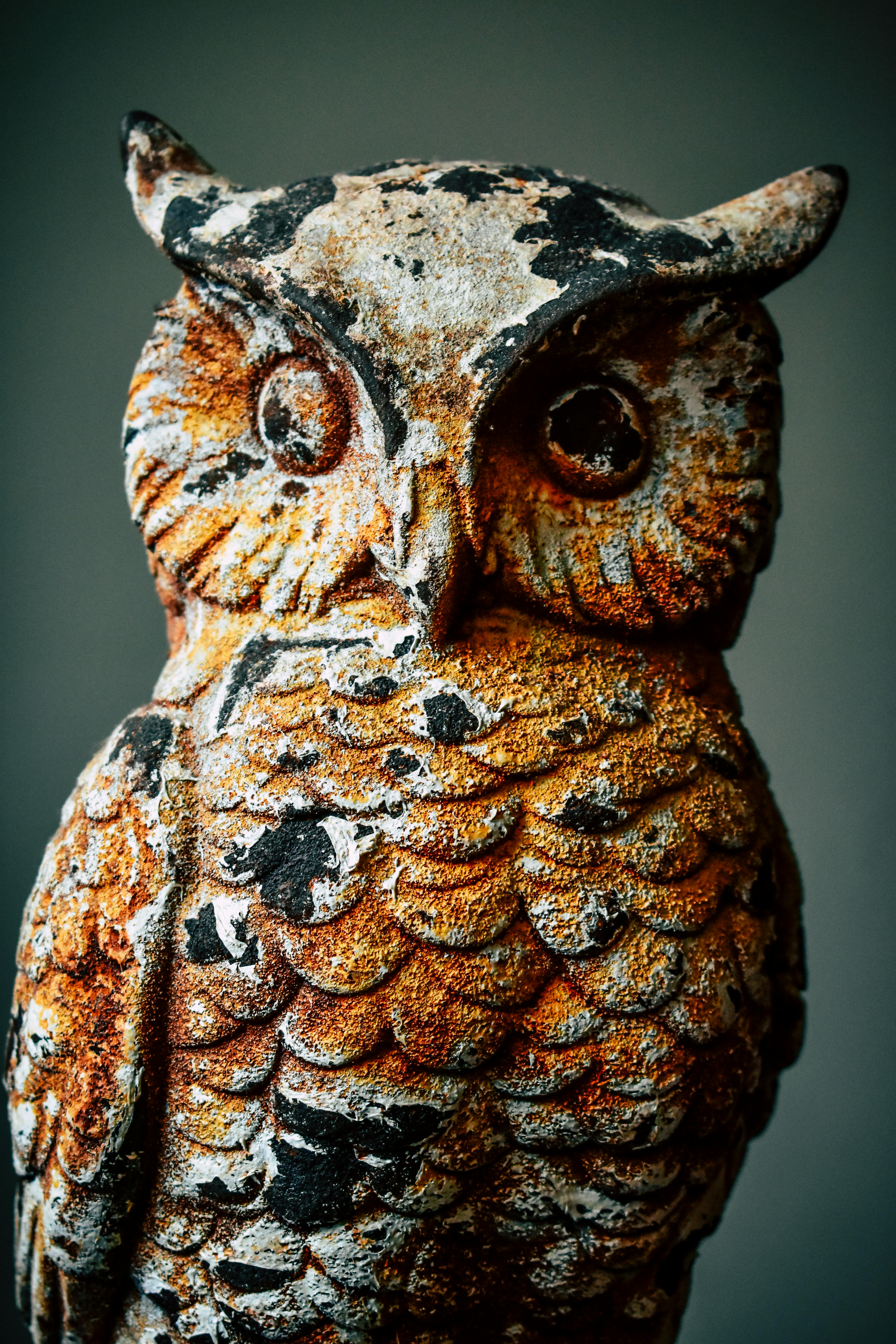 Owl Statue · Free Stock Photo