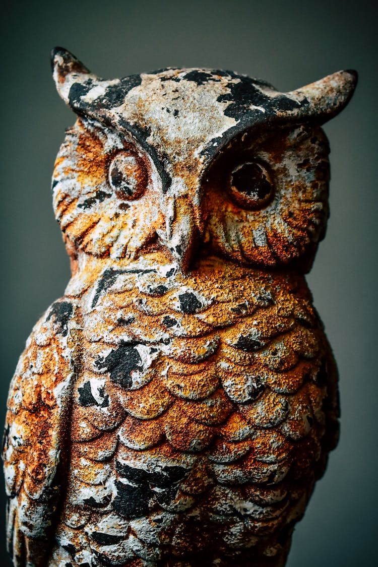 Owl Statue