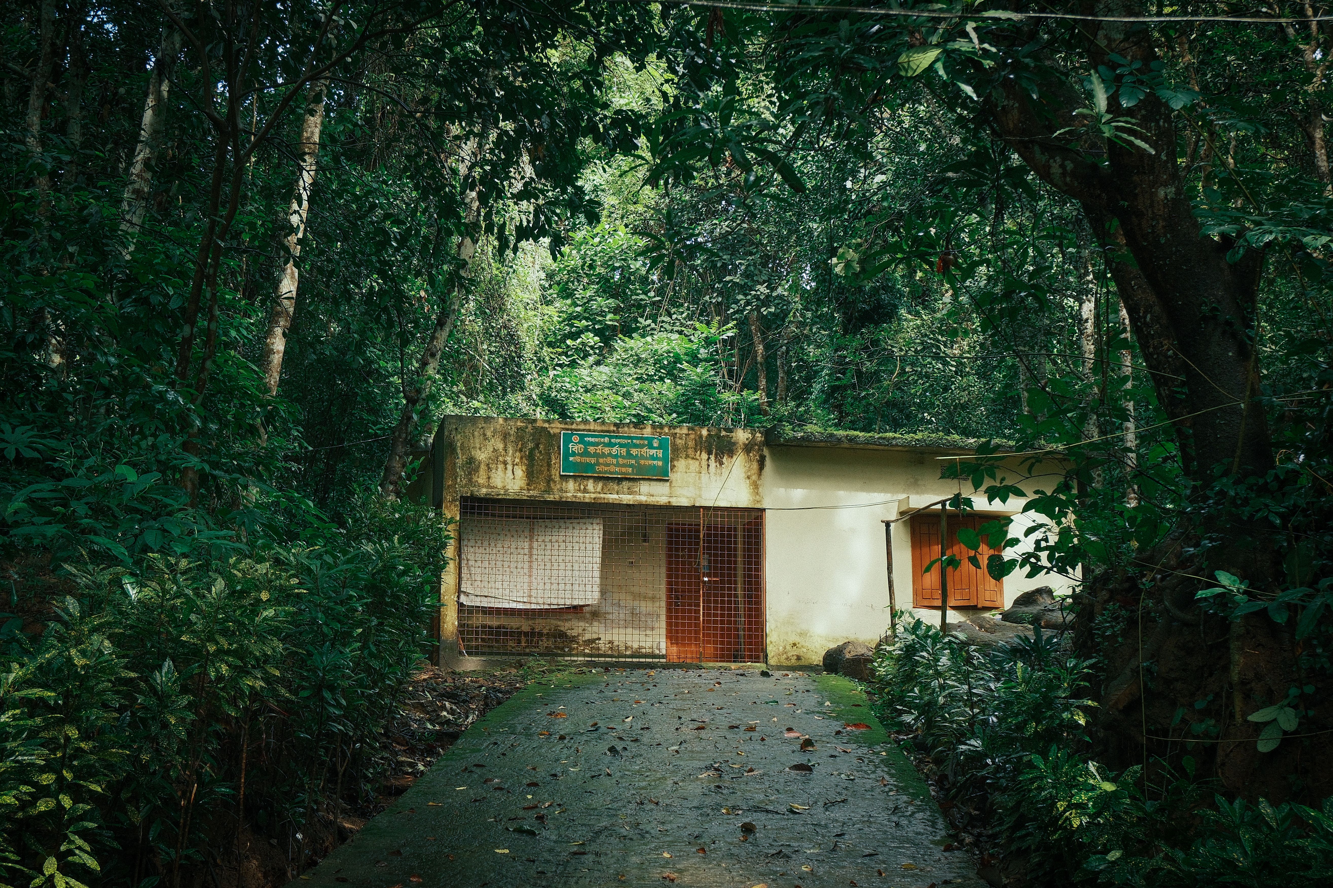 coorg holiday makers tours and travels
