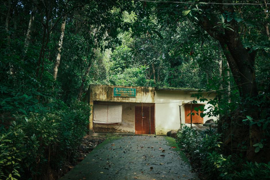 coorg holiday makers tours and travels