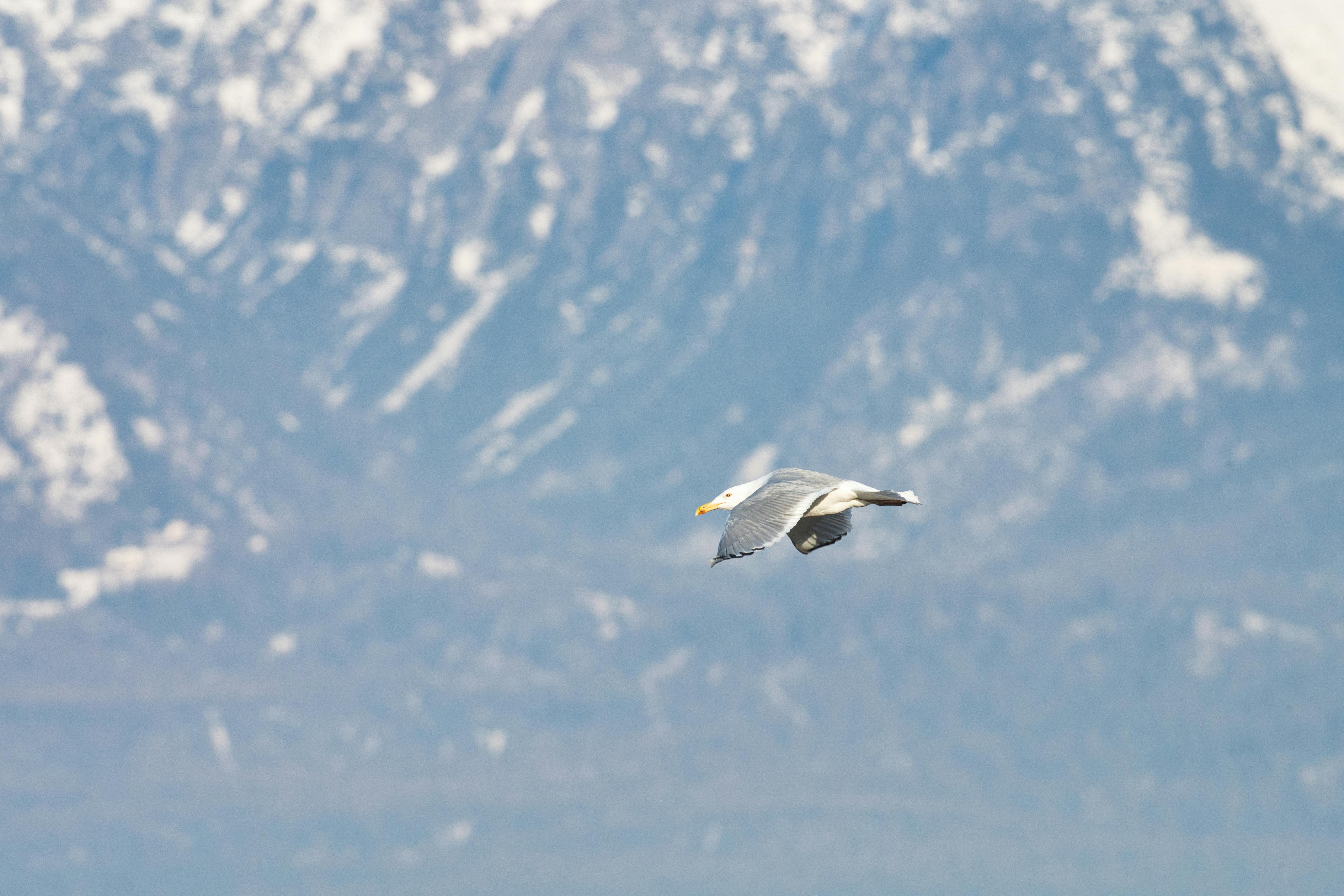 China Ingatkan Bahaya AI dalam Serangan Militer AS ke Iran