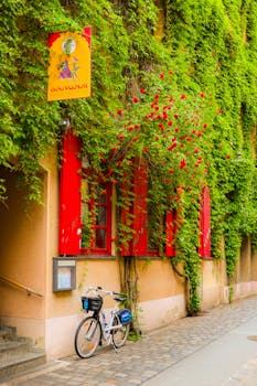 Ivy-covered building facade with red shutters and a bicycle parked outside, exuding quaint charm.