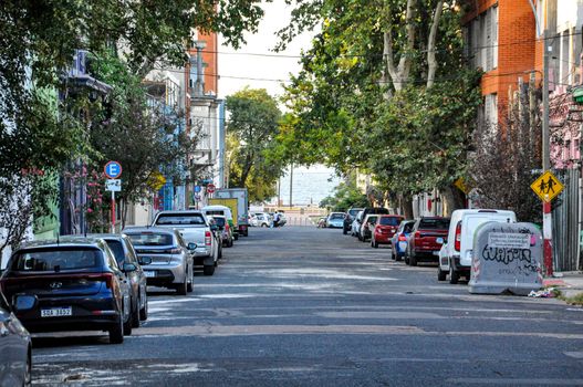 Quaint street in Montevideo with parked cars, surrounded by lush greenery and urban architecture.