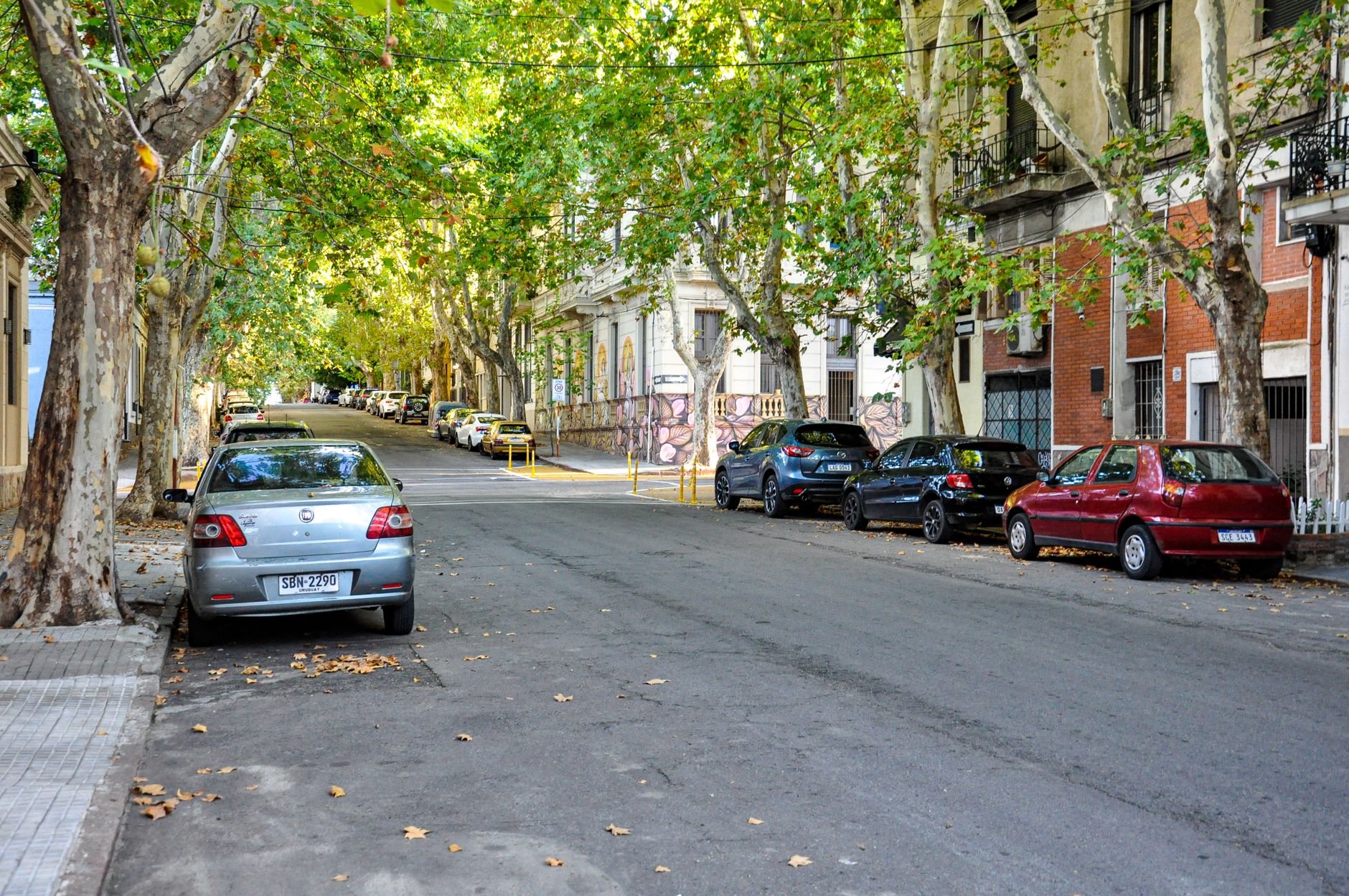 Uspallata — Street, Uspallata