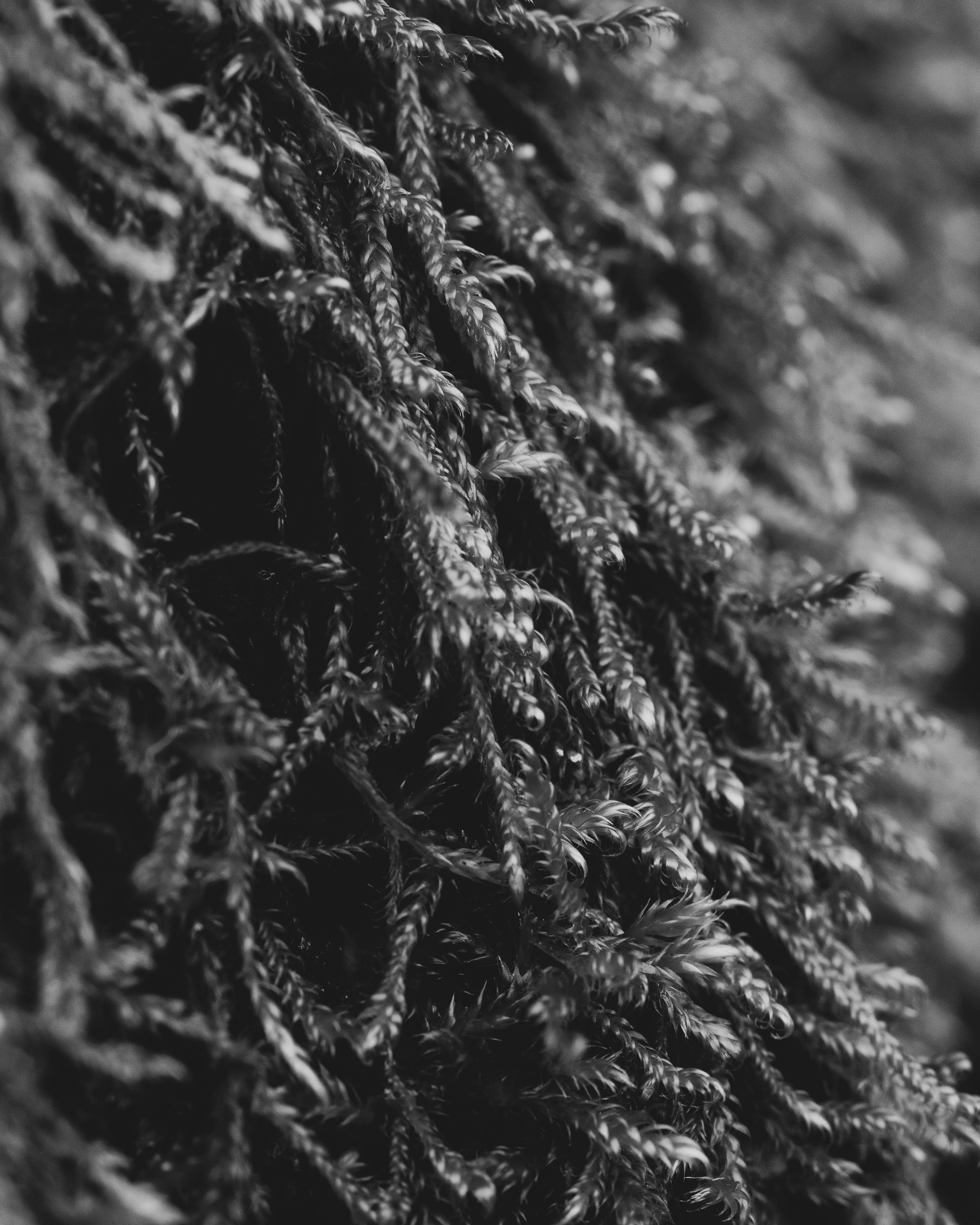 Ücretsiz açık hava, alt hikaye, arka fon içeren Ücretsiz stok fotoğraf Stok Fotoğraflar