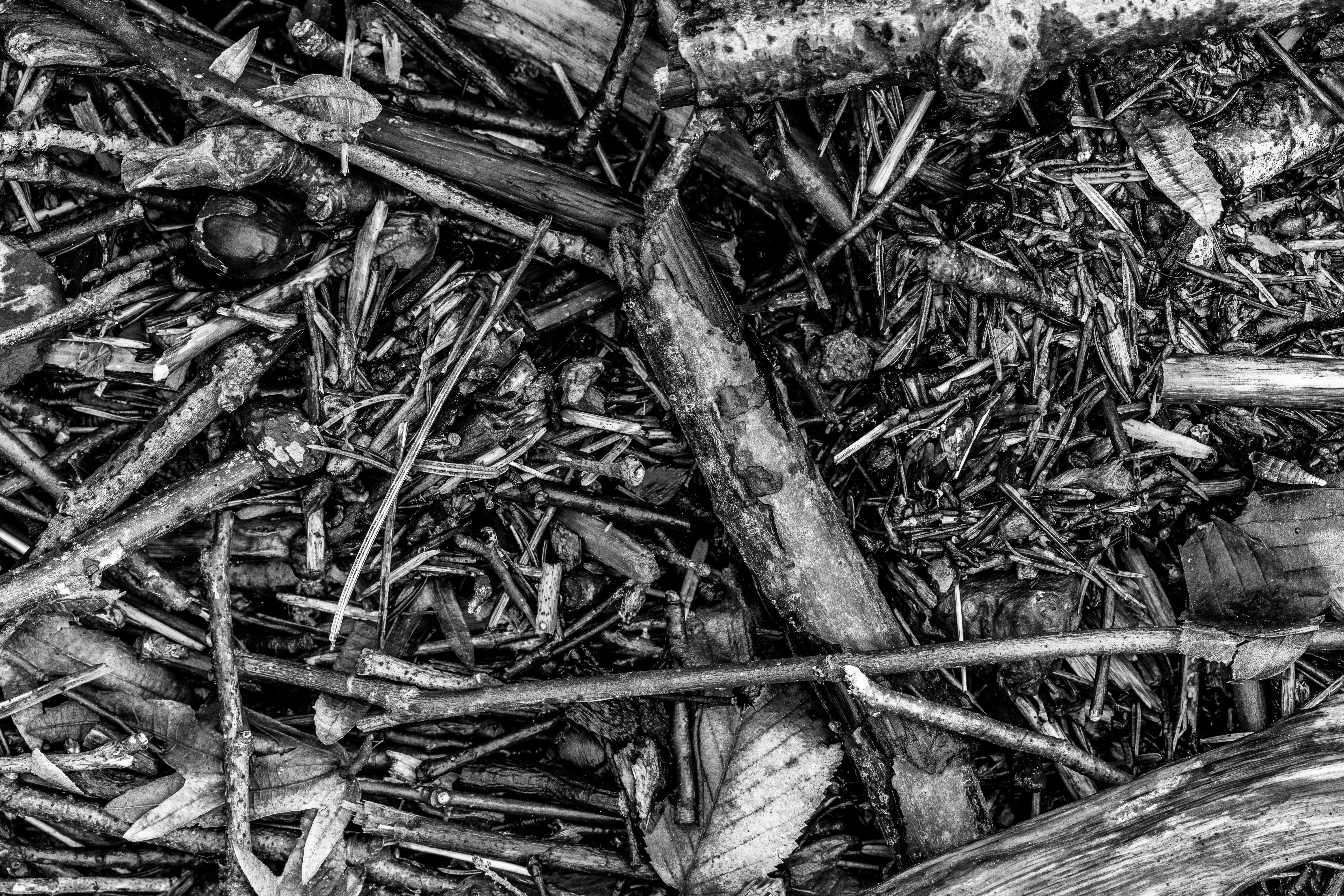 Forest exploration materials