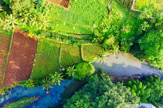 印度尼西亚西爪哇的农田和河流充满活力，鸟瞰图展现了这一景象