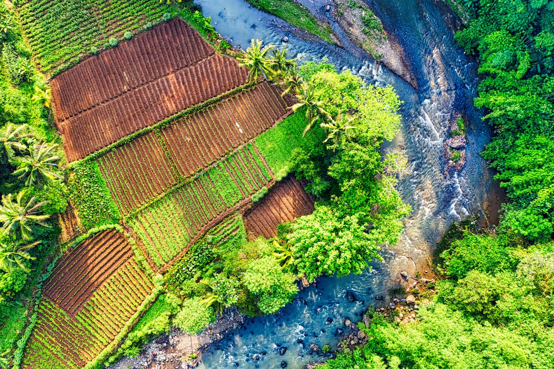 Aerial Photography of Farmland Sorrounded by Stream
