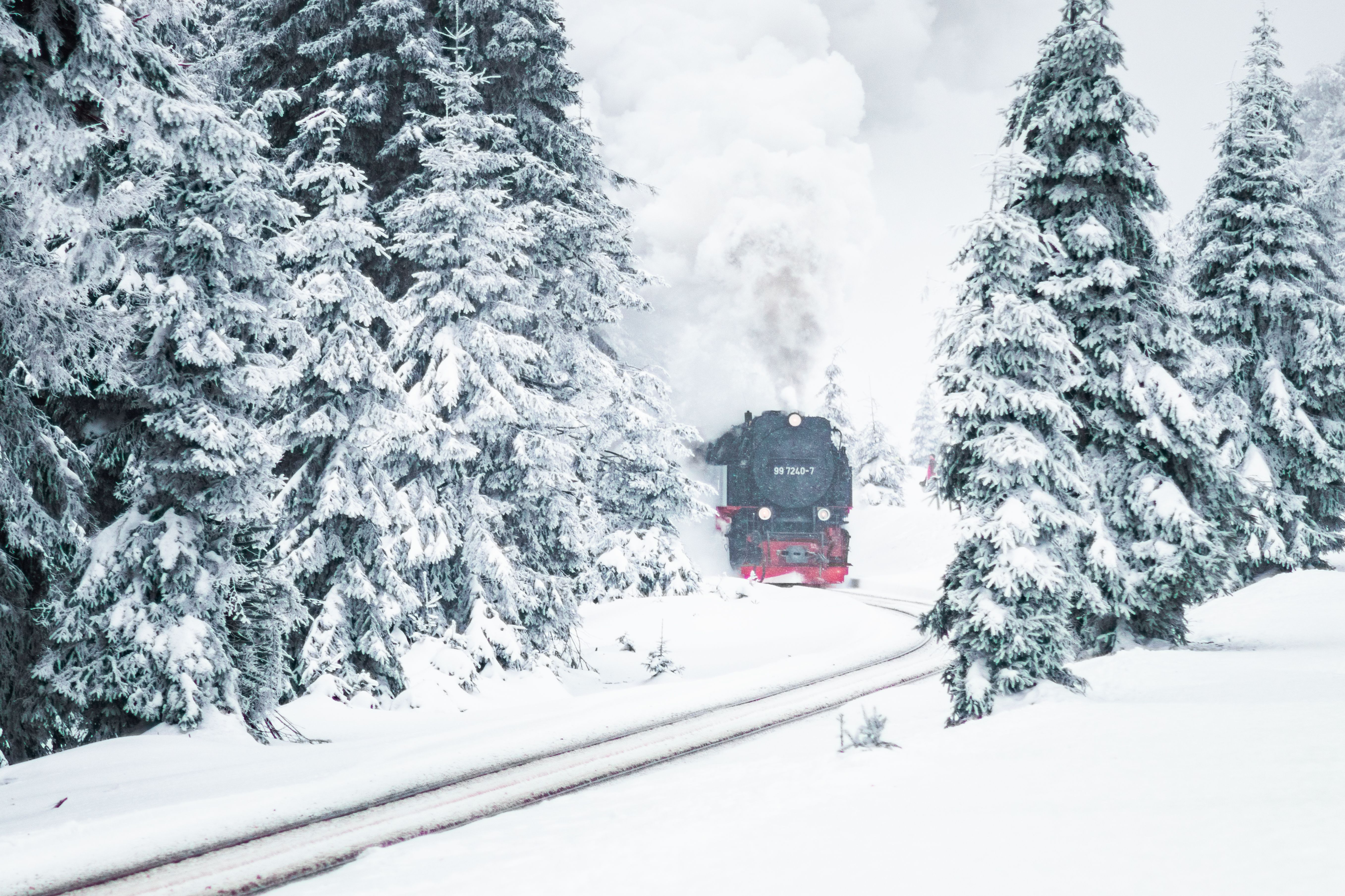 general travel cards — Photo by Mr Dr3igeteilt on Pexels