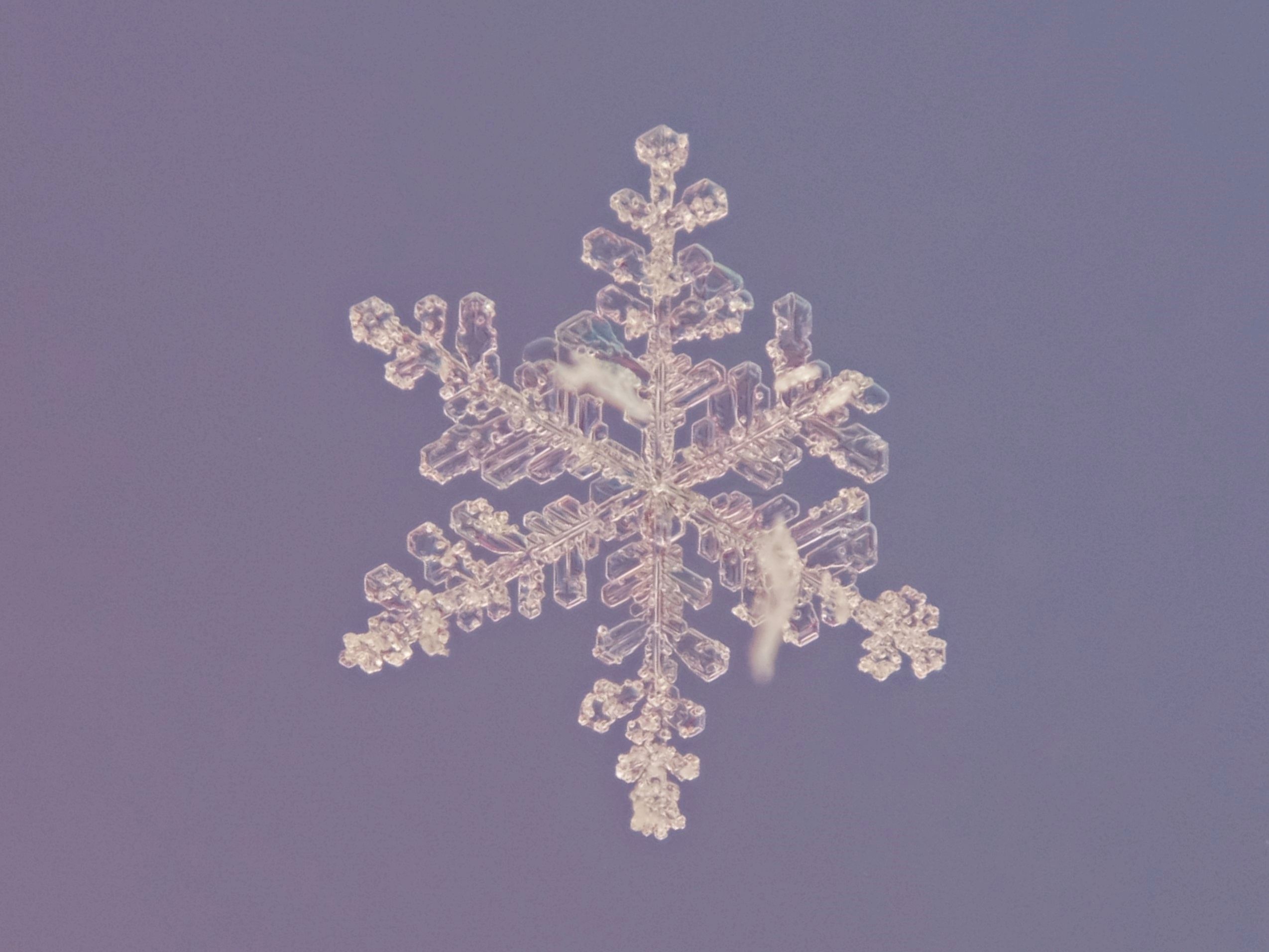 Foto: Kristin Morgan / Pexels