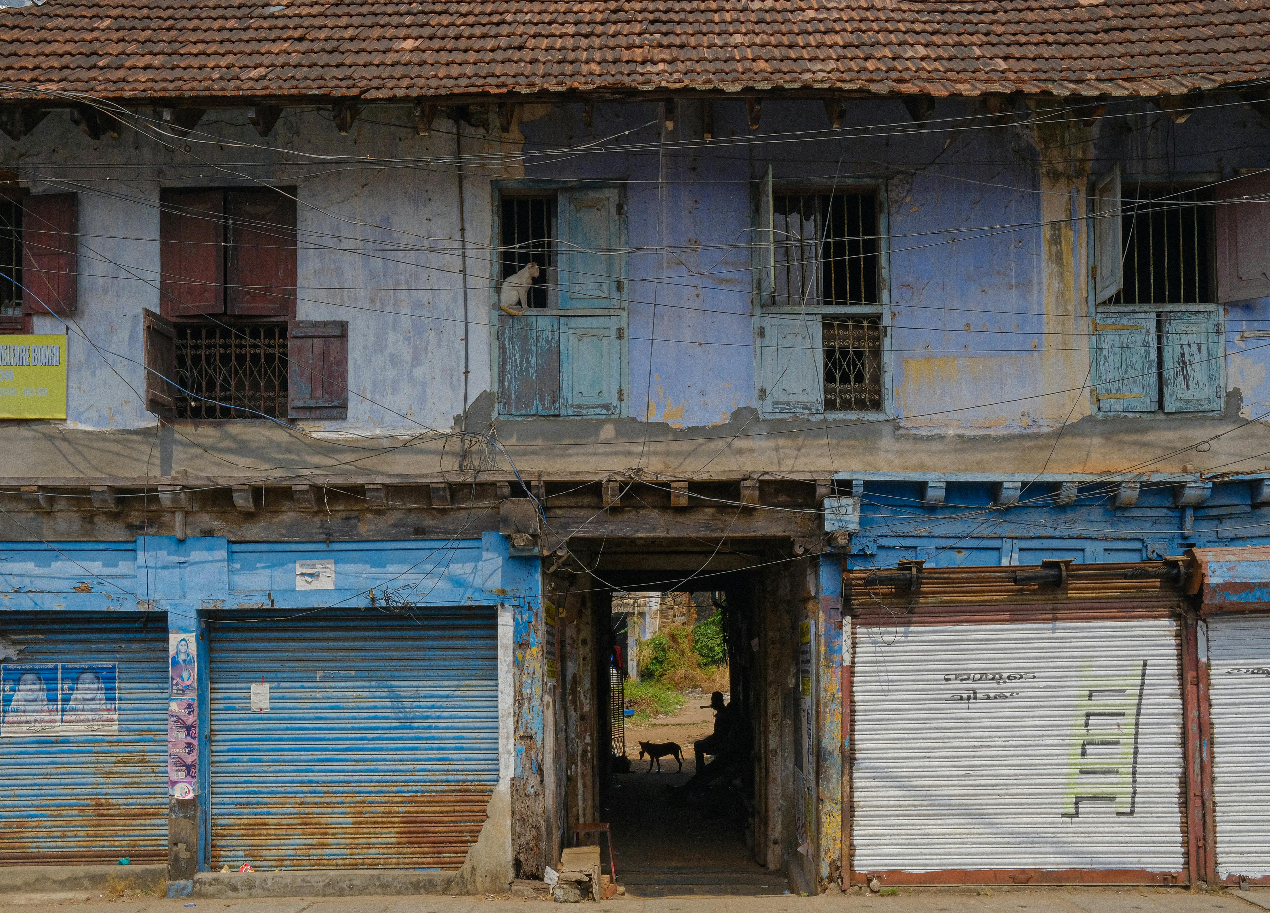 無料 路地に猫と犬がいる高知の歴史的建物の正面。 写真素材