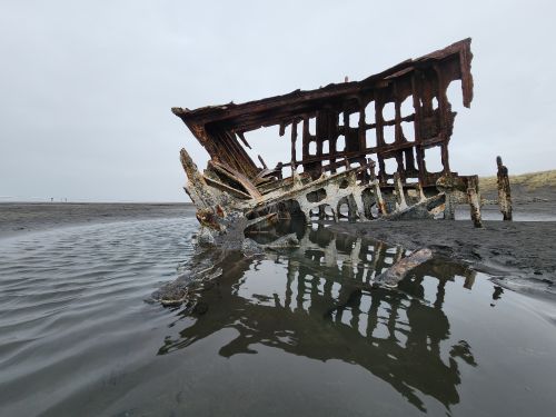 Free A dramatic view of a rusty shipwreck on a foggy beach in the Pacific Northwest. Stock Photo
