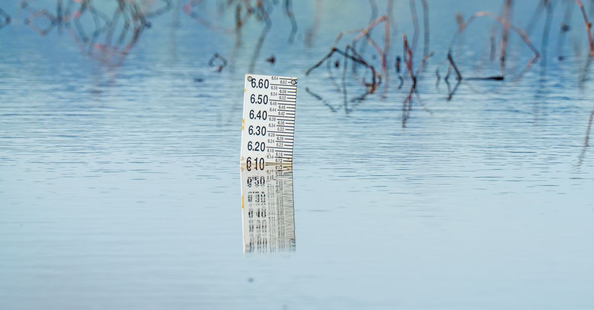 Nahaufnahme eines Pegelmessers im Wasser mit ruhiger Spiegelung der Umgebung