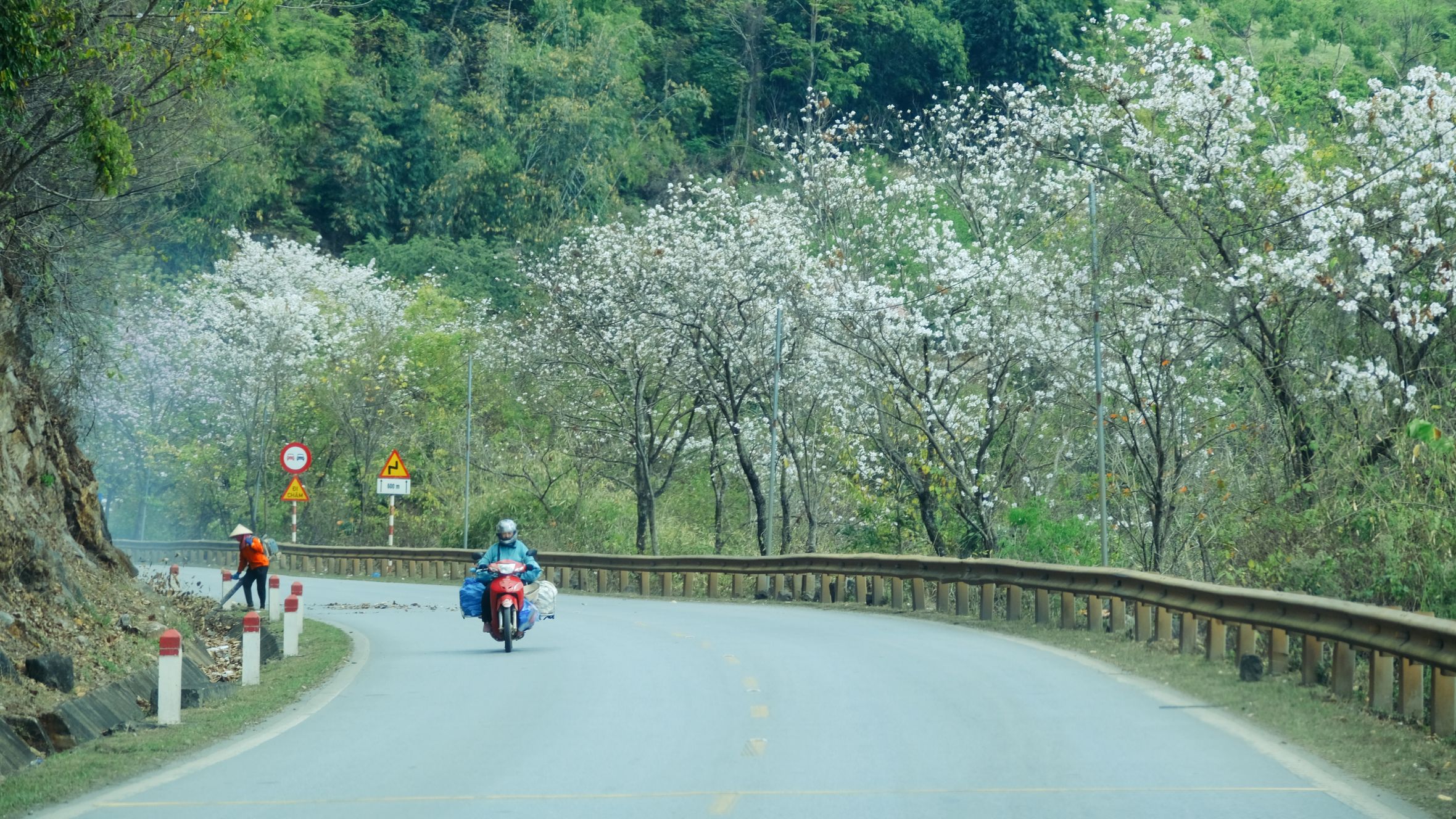 A scenic mountain road lined with blooming trees, featuring a motorcyclist and a roadside worker.