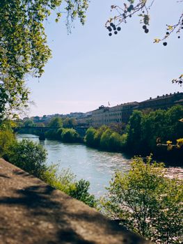 Tranquil river scene with lush trees, sunlight, and distant buildings.