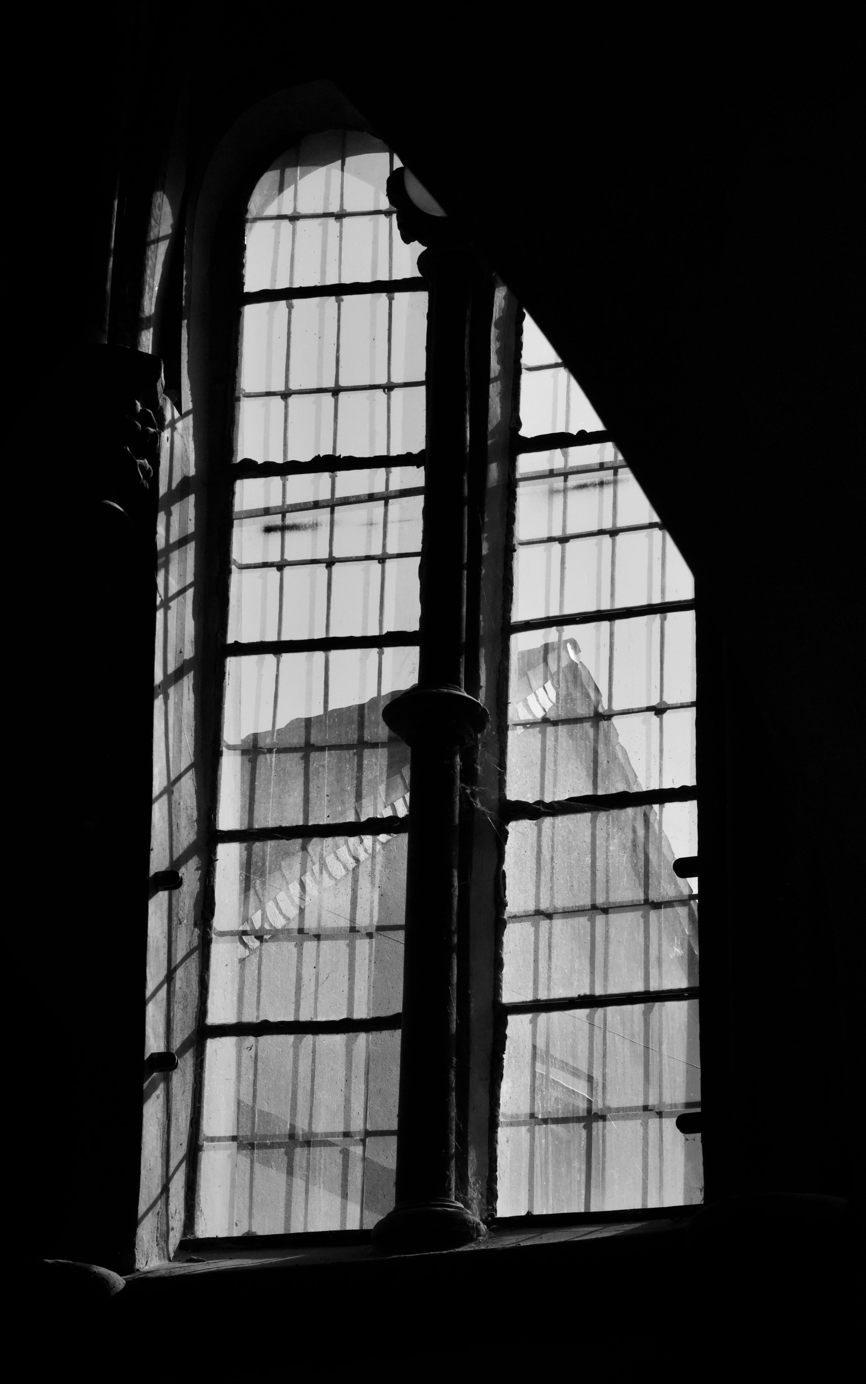 бесплатная Эффектный силуэт готического окна, раскрывающий архитектурные особенности старины, в монохромном исполнении. Стоковое фото