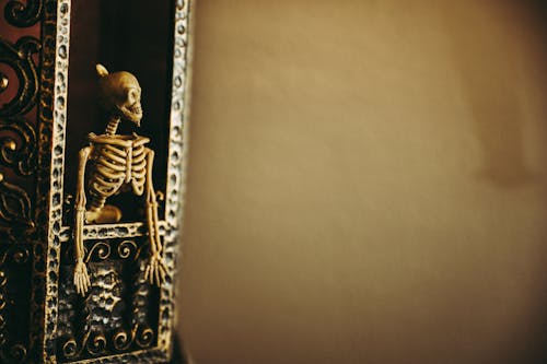 Foto De Un Esqueleto