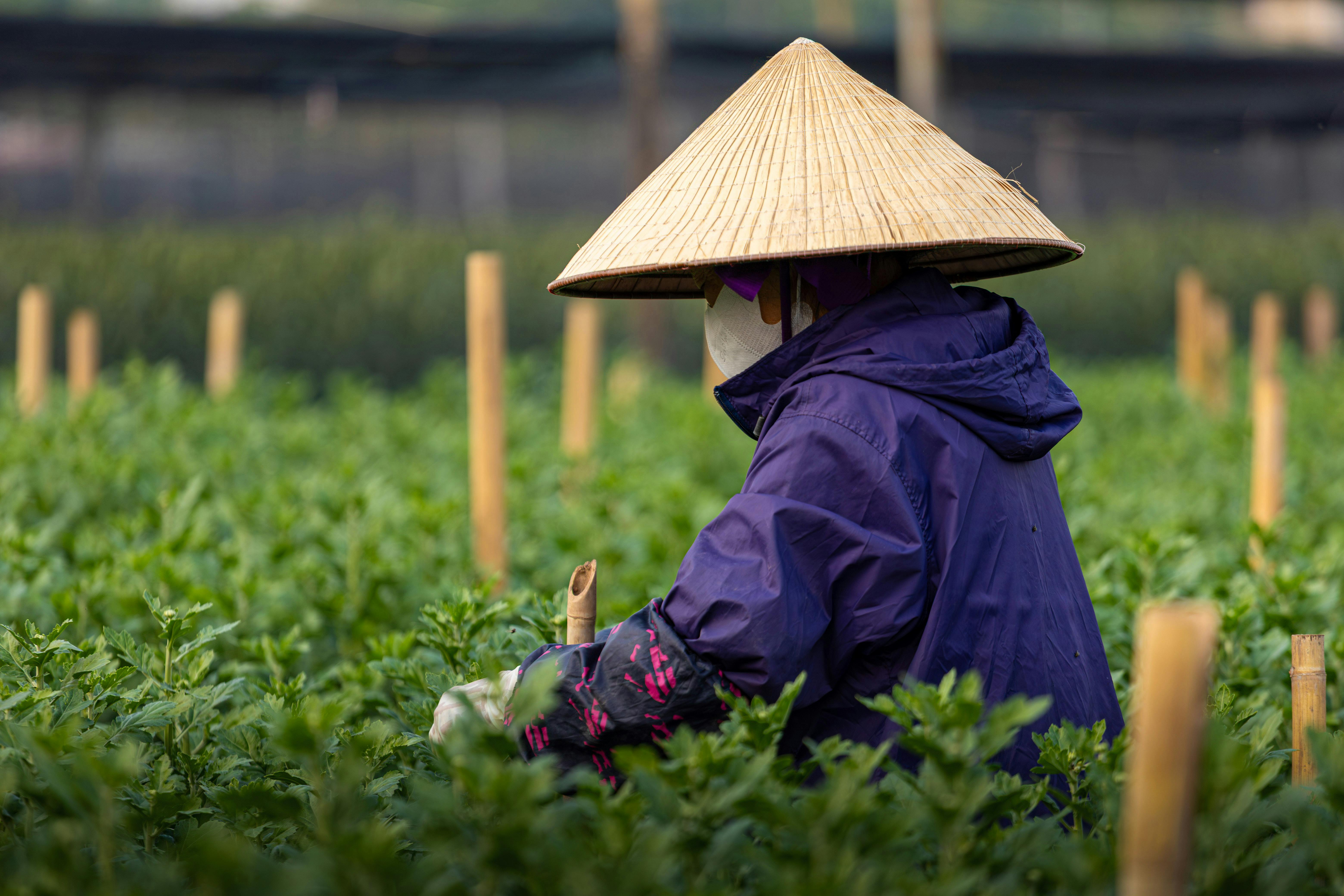 Nigeria's Security Crisis Deepens as Militant Resurgence Threatens Investor Confidence During Leadership Transition