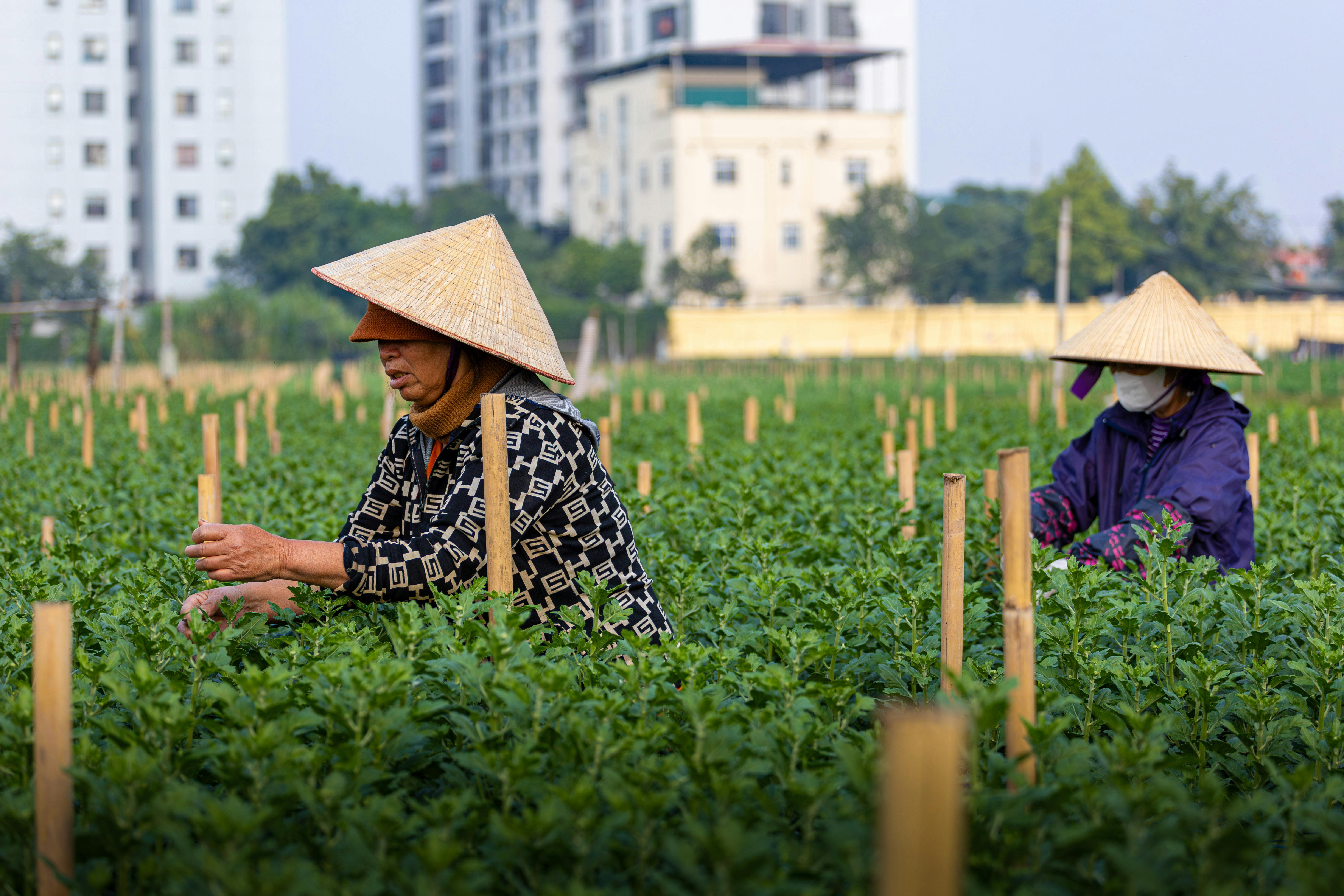 DIPLOMATIC RELATIONS: No ambassador, no problem — SA’s unorthodox approach to the US