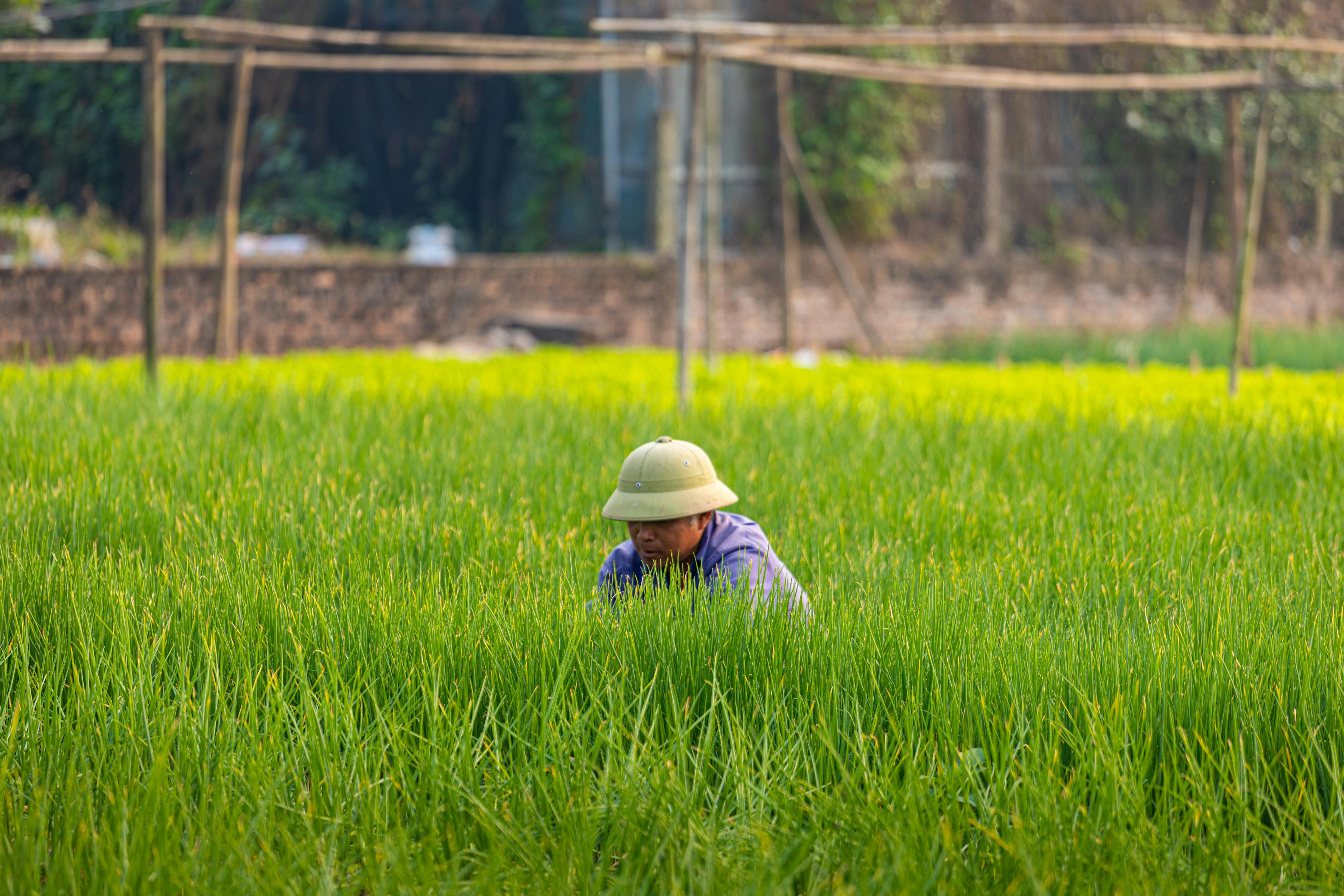 Iran's Security Architecture in Flux: What the Larijani Killing Means for European Investment in the Middle East and Africa