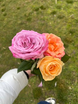 Free stock photo of aesthetic flowers, artistic bouquet, colors