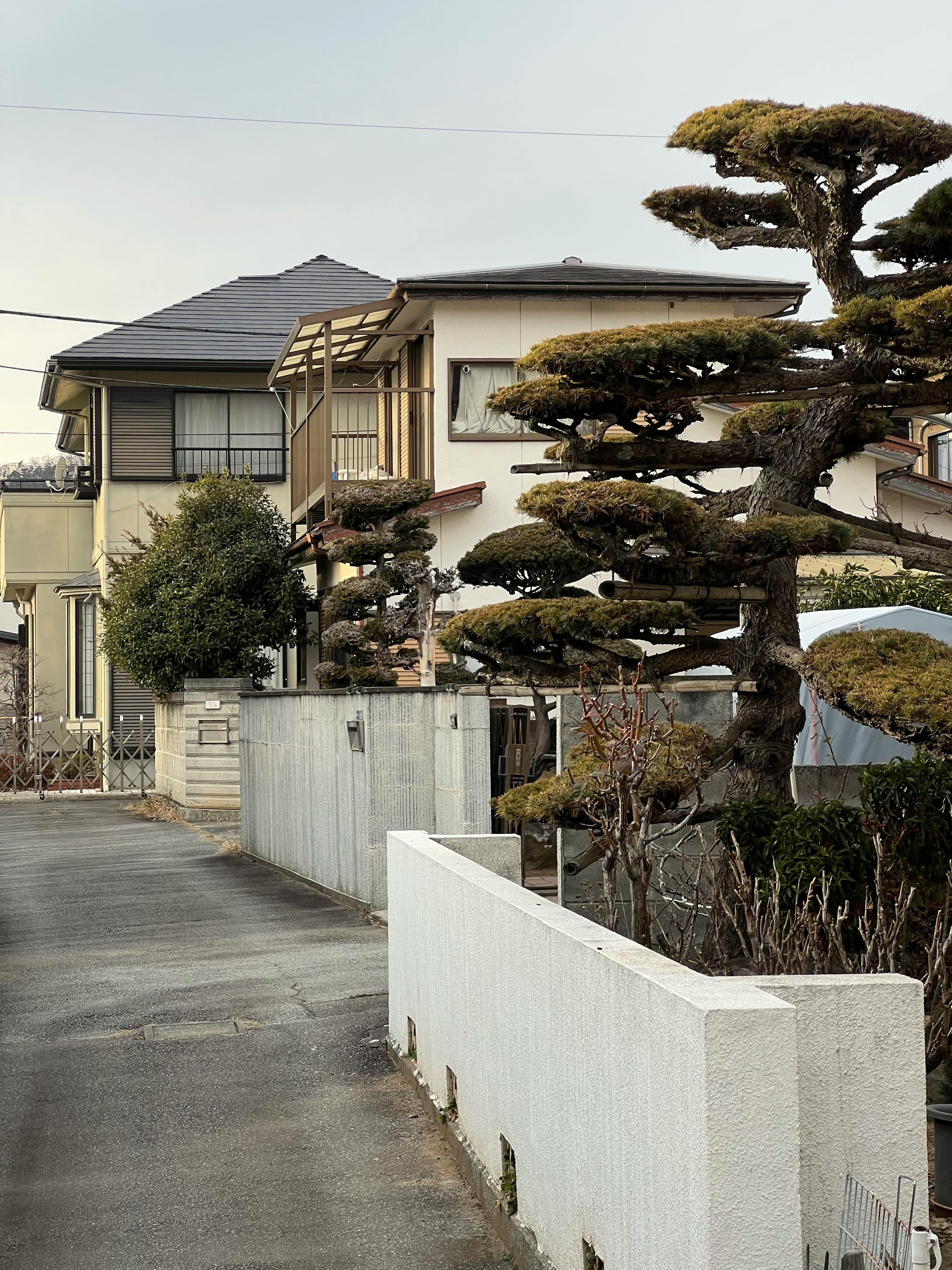 Gratis Foto stok gratis @ luar, alam, area perumahan Foto Stok