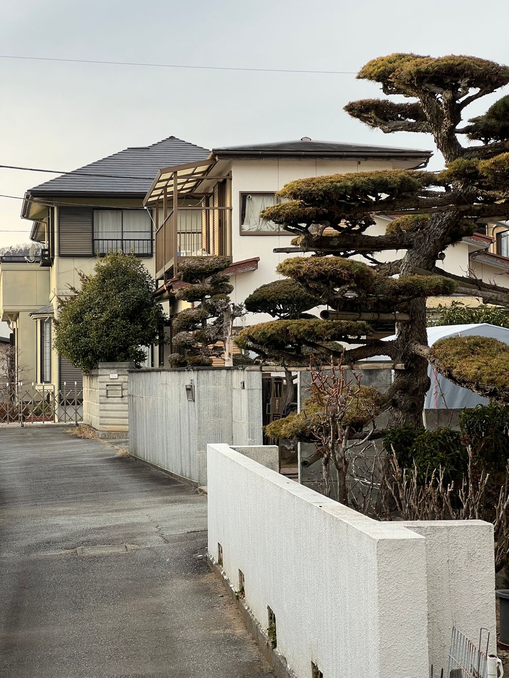 日本の2階建て住宅、手入れされた庭木と静かな住宅街