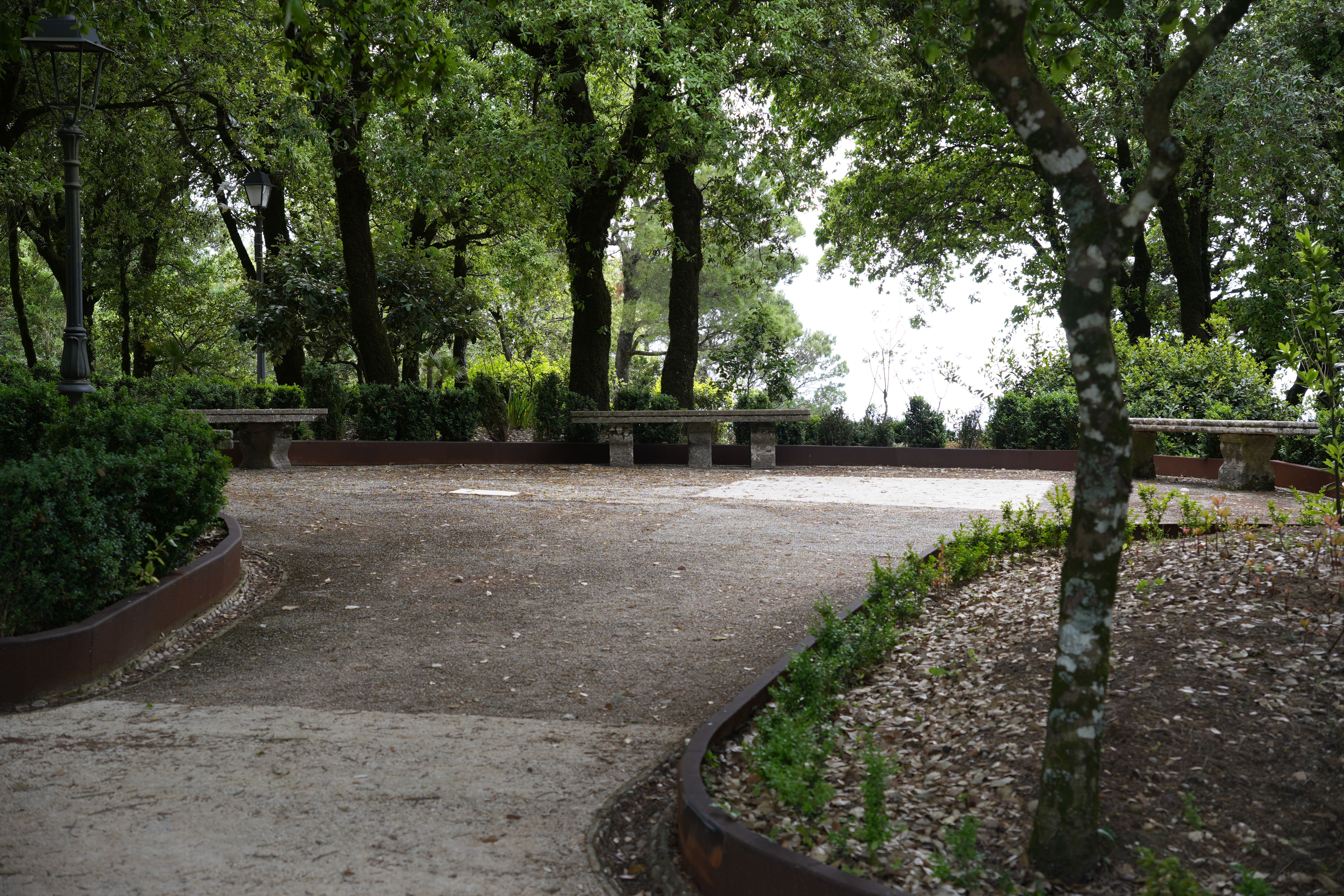 Serene pathway surrounded by lush greenery in a park located in Erice, Sicily, Italy.