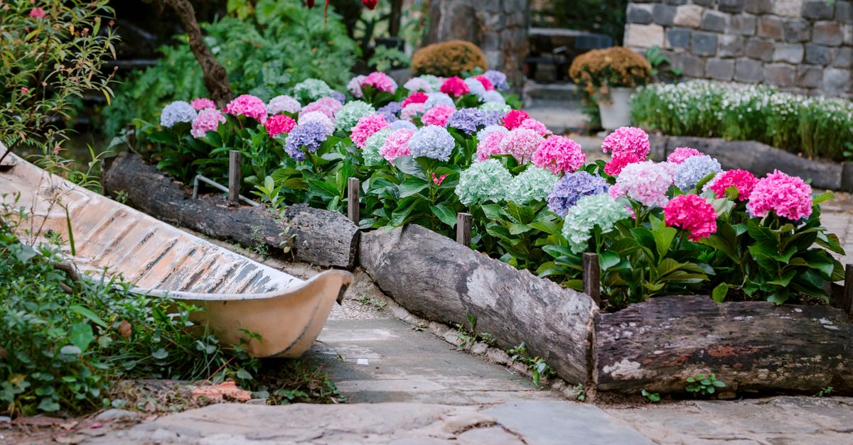Prestataire Jardinage votre ville - Askaide Prestataire Jardinage votre ville - Askaide