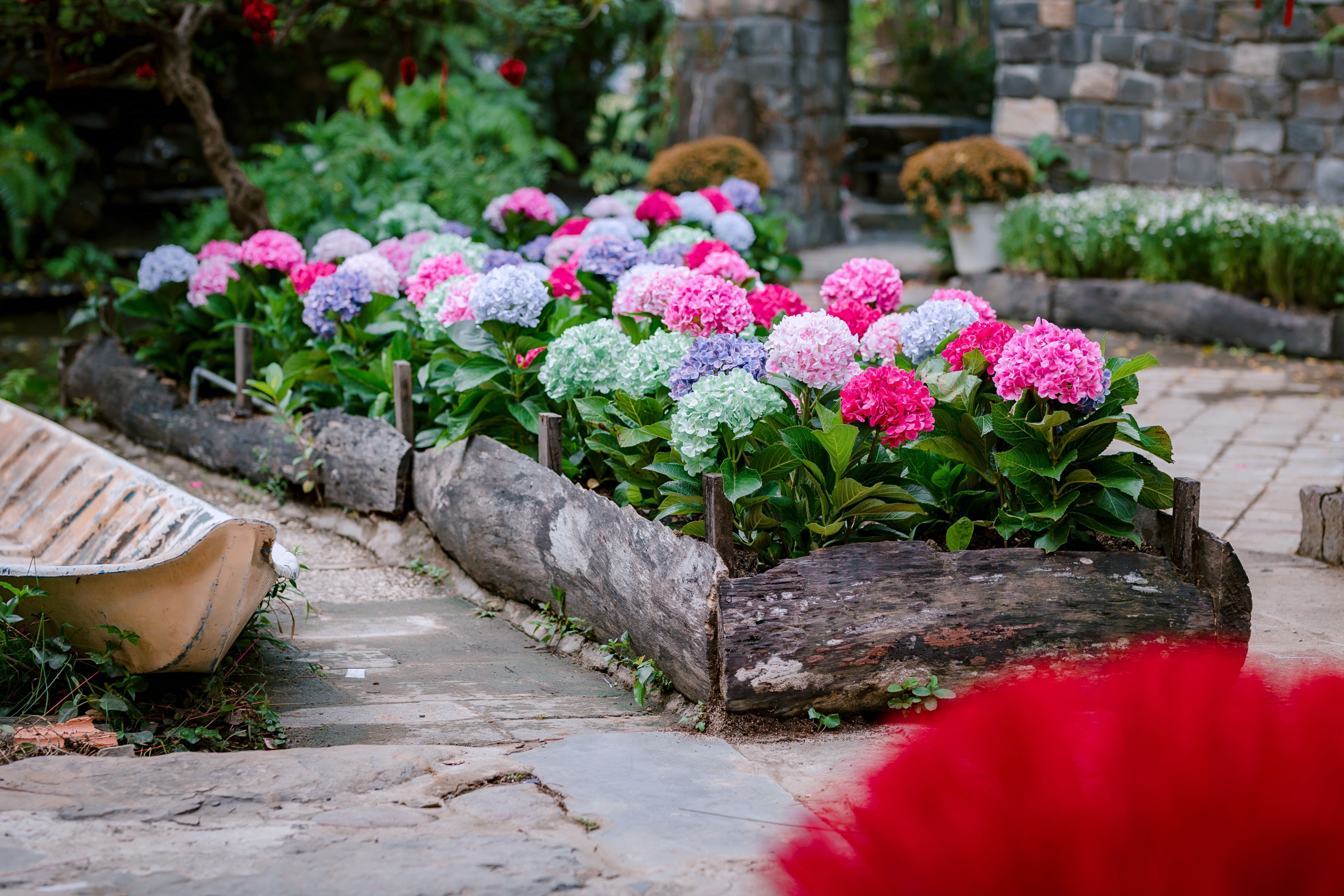 Comment identifier les auxiliaires du jardin et les favoriser