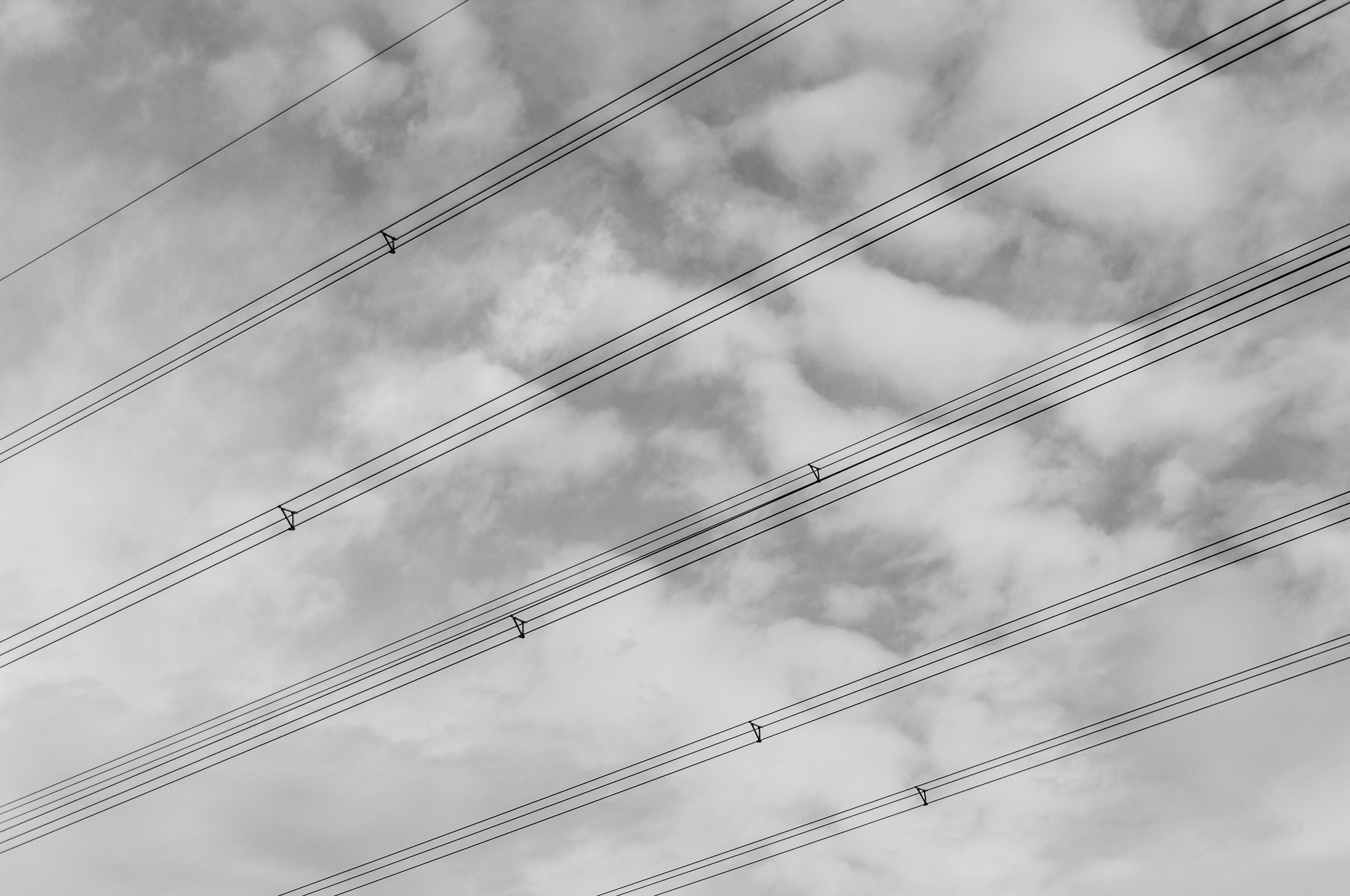無料 曇り空を背景にした電力線の抽象的な景色を白黒で撮影しました。 写真素材