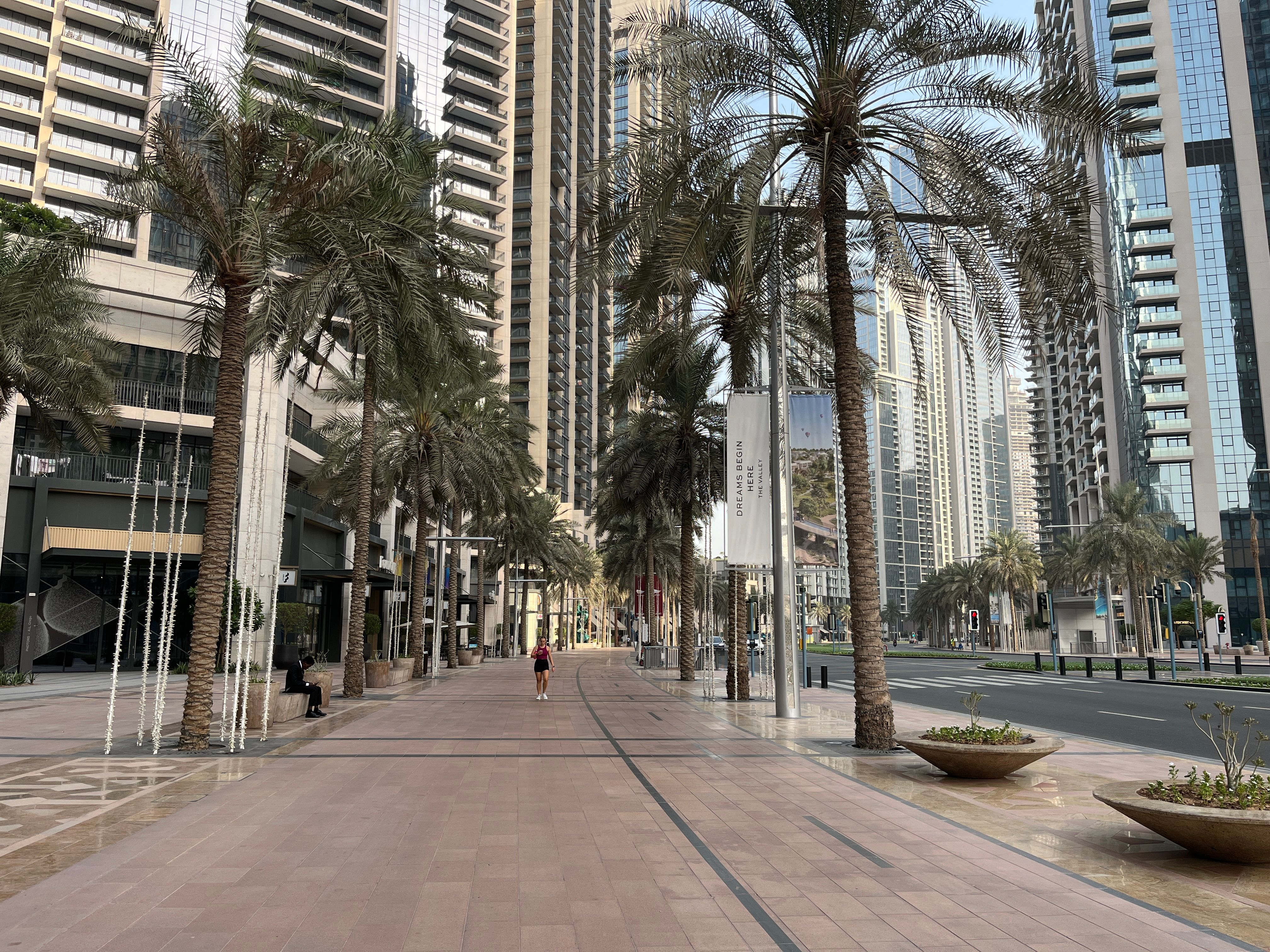 Modern Dubai business district with office towers and palm trees