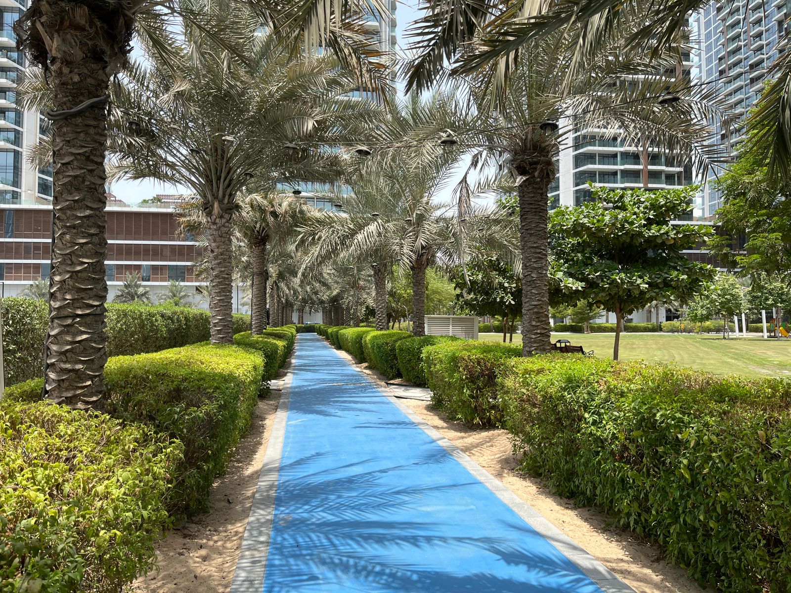 Palm-lined jogging and cycling track running through a landscaped Dubai community park