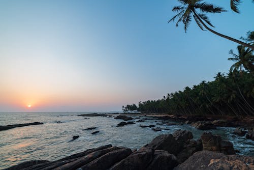 Бесплатное стоковое фото с seasand, закат, кокосовые пальмы