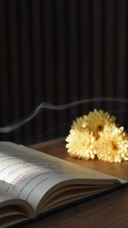 Free A serene scene of an open book next to yellow chrysanthemums, evoking tranquility. Stock Photo