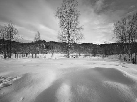 Tranquil snowy landscape with barren trees in Norway, captured in black and white during winter.