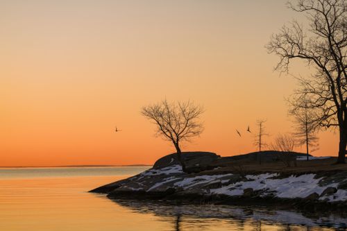 Free A serene lakeside view with snow-topped rocks, bare trees, and flying birds at sunset. Stock Photo