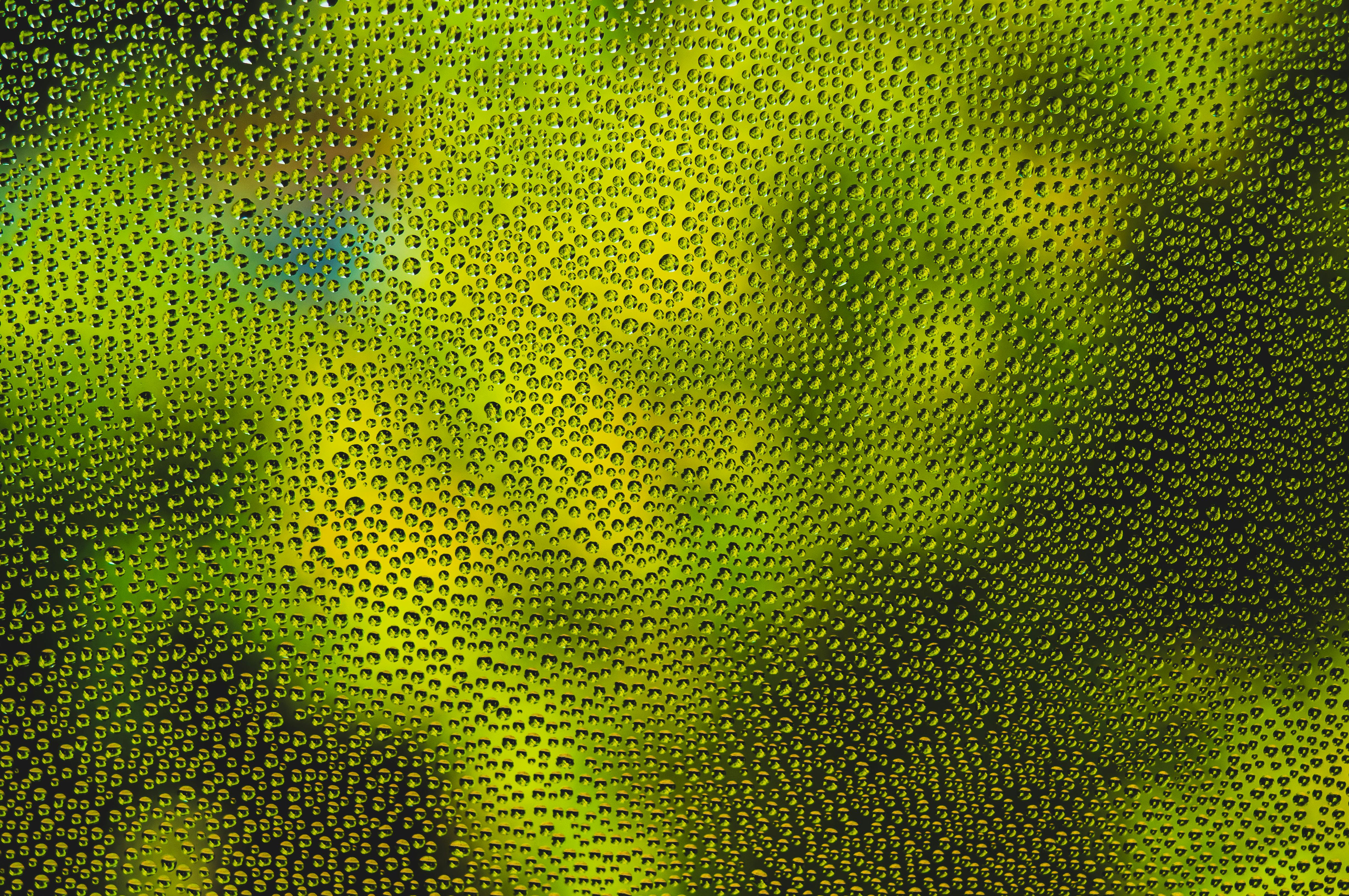 Free Close-up of dew drops on glass, creating a vibrant green texture background. Stock Photo
