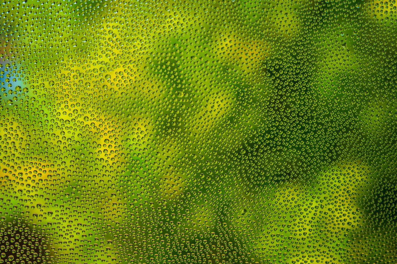 close up of dew drops on glass with a green abstract effect creating a
