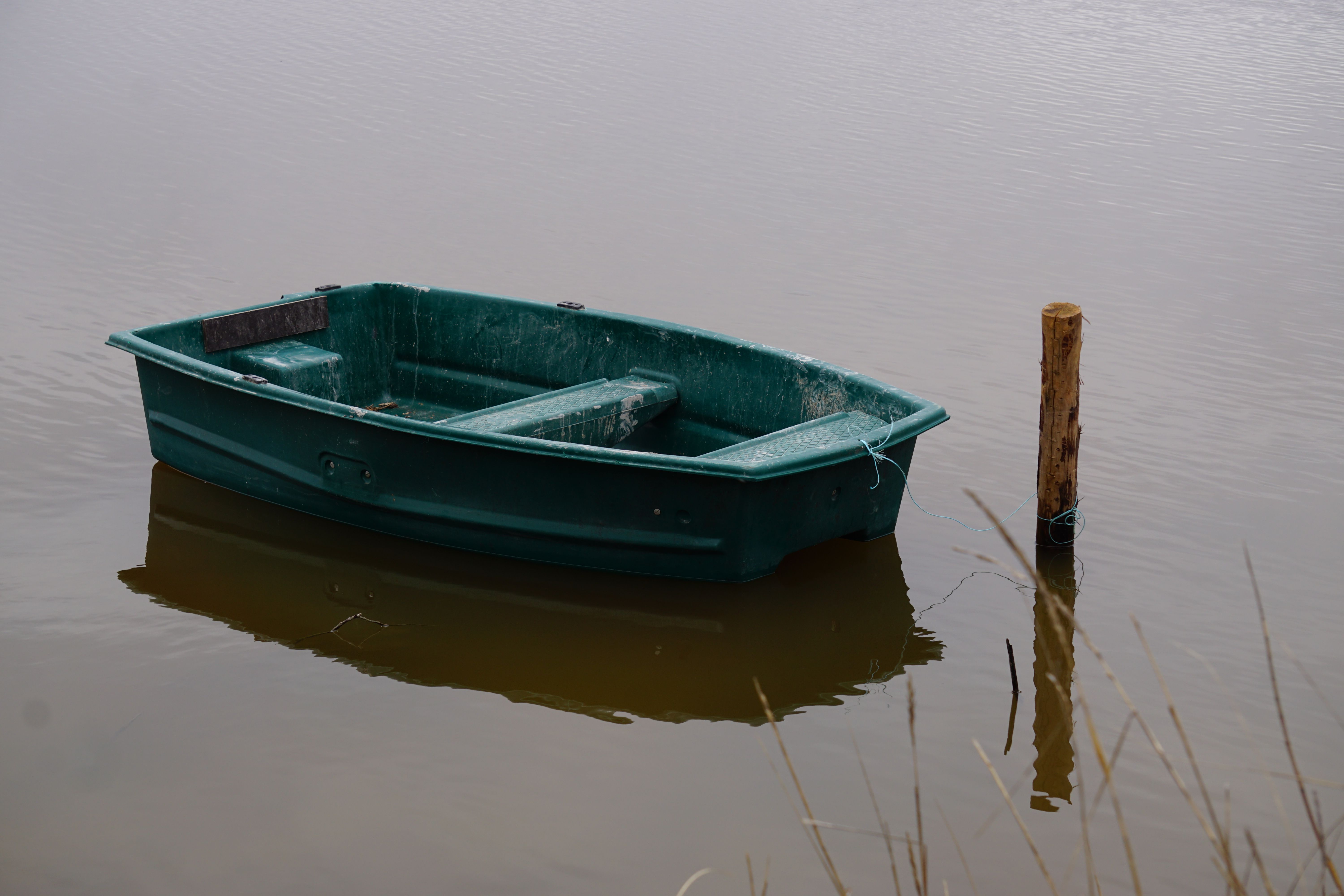 Barque Verte Solitaire Sur Une Eau Calme · Photo gratuite